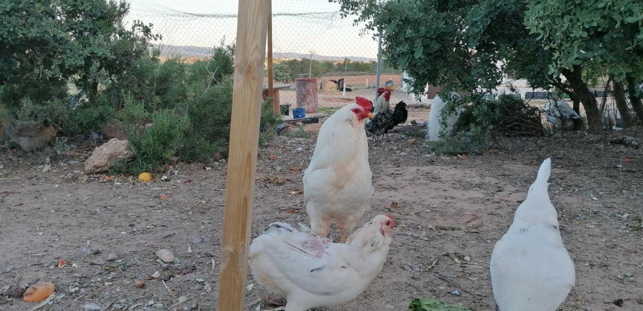 Casa Rural La Loma Nohales ภายนอก รูปภาพ